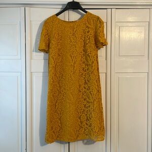 Loft lace dress